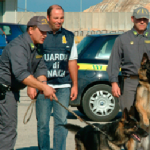 Sgominata la banda della cocaina